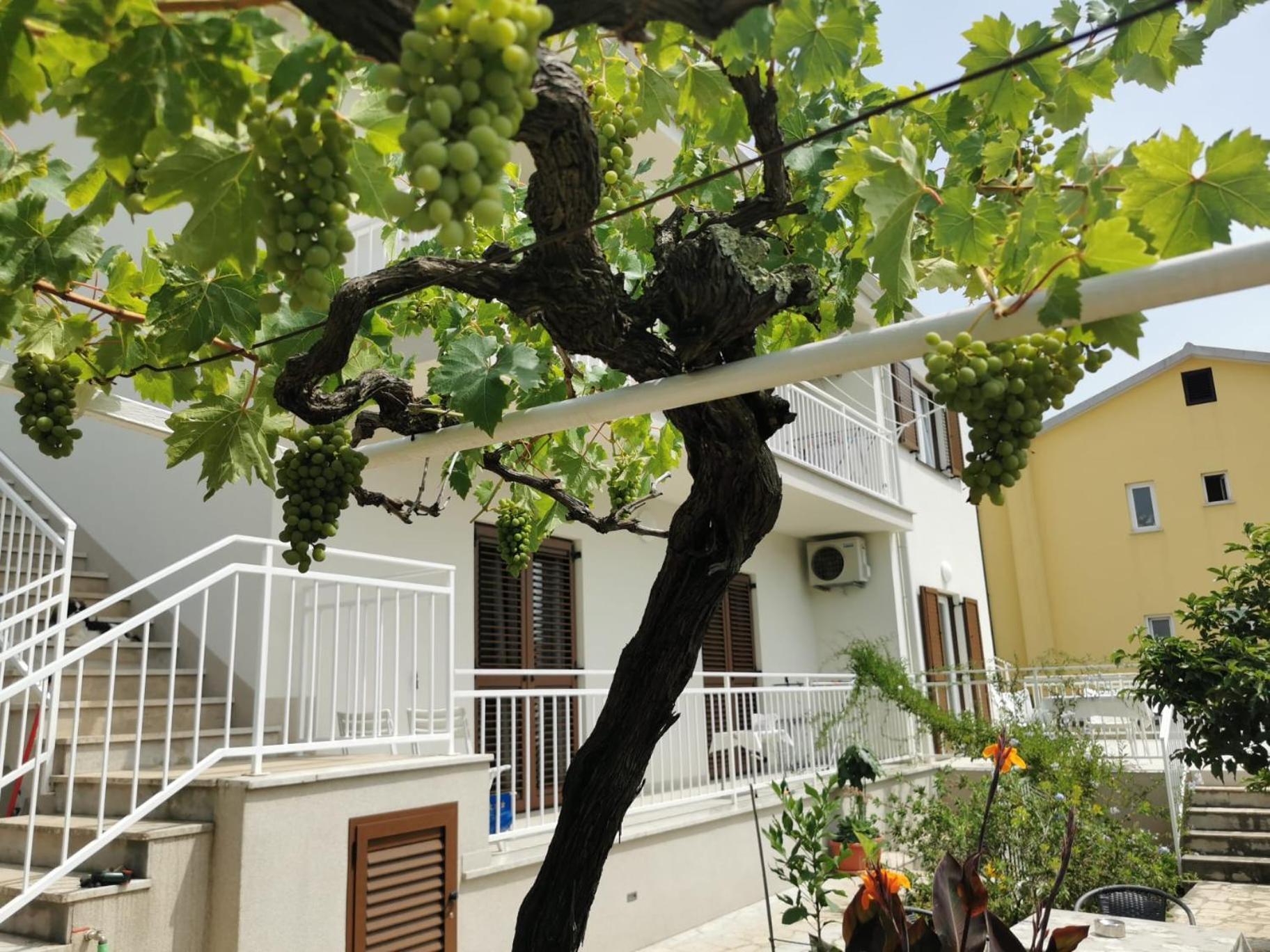 Residence Pical Poreč Exteriör bild